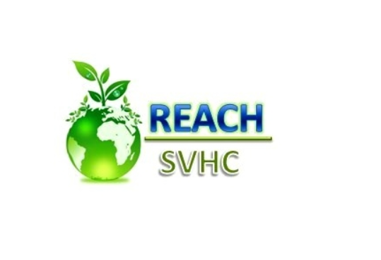 reach报告