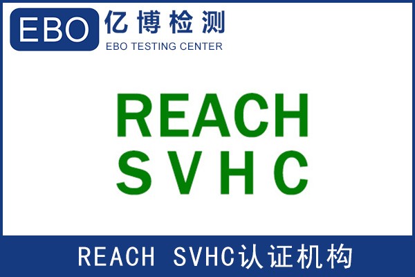 亚马逊REACH报告哪里可以做？