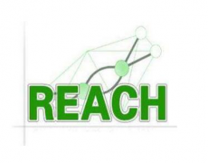 REACH认证怎么办理？