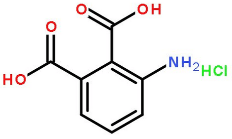 邻苯二甲酸盐17P测试项目